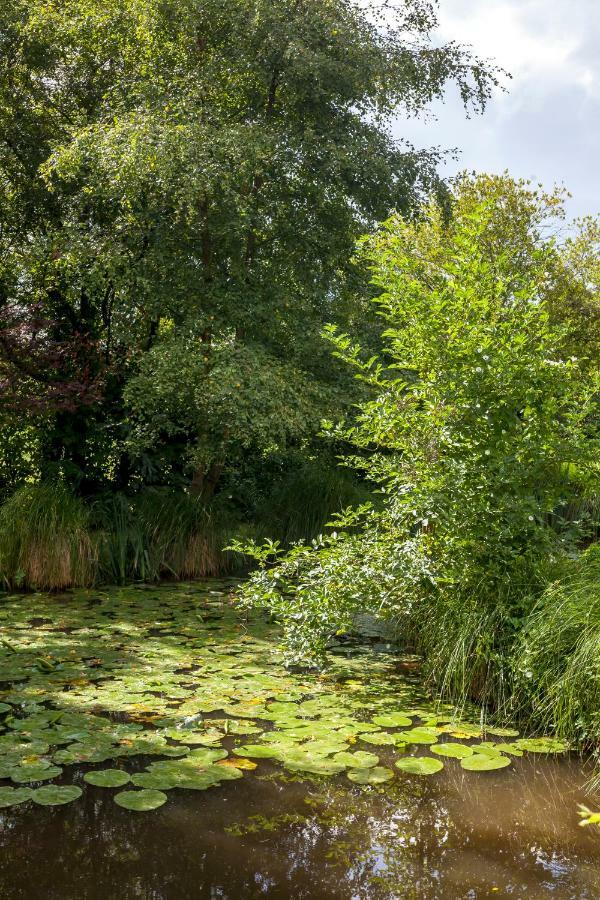 فندق Sainte-Pienceفي  Manoir De La Porte المظهر الخارجي الصورة